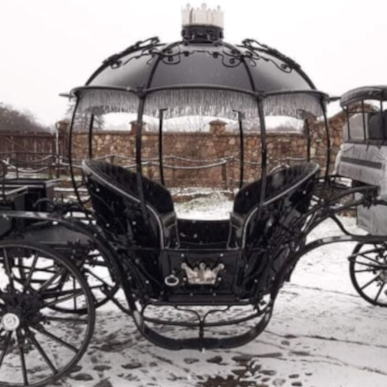 Cinderella Arrivals Carriage in the Snow