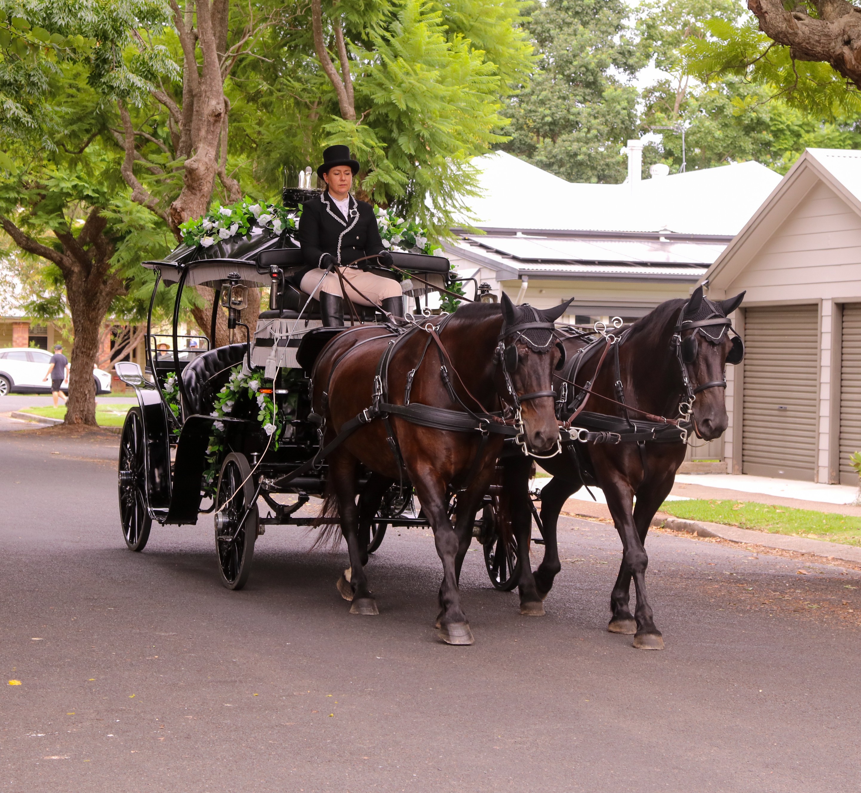 Cinderella Arrivals strolling through the Streets of Lorn NSW