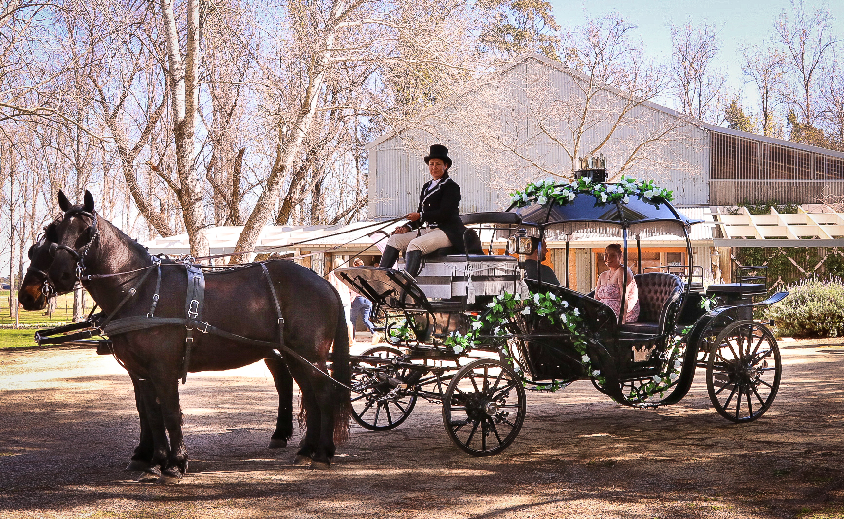 Cinderella Arrival Weddings at Lorn Rose Farm 2023