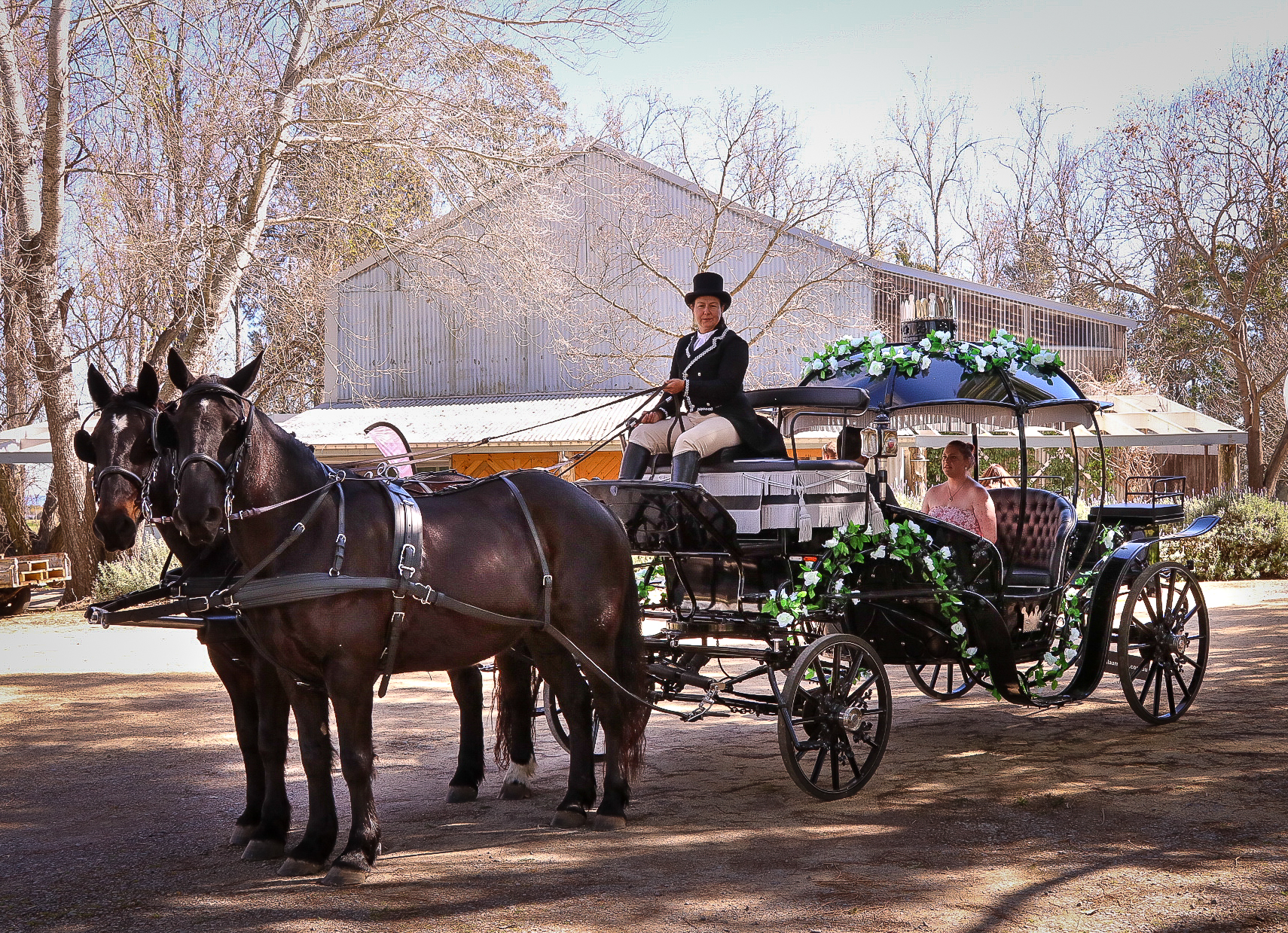 Cinderella Arrival Weddings at Lorn Rose Farm 2023