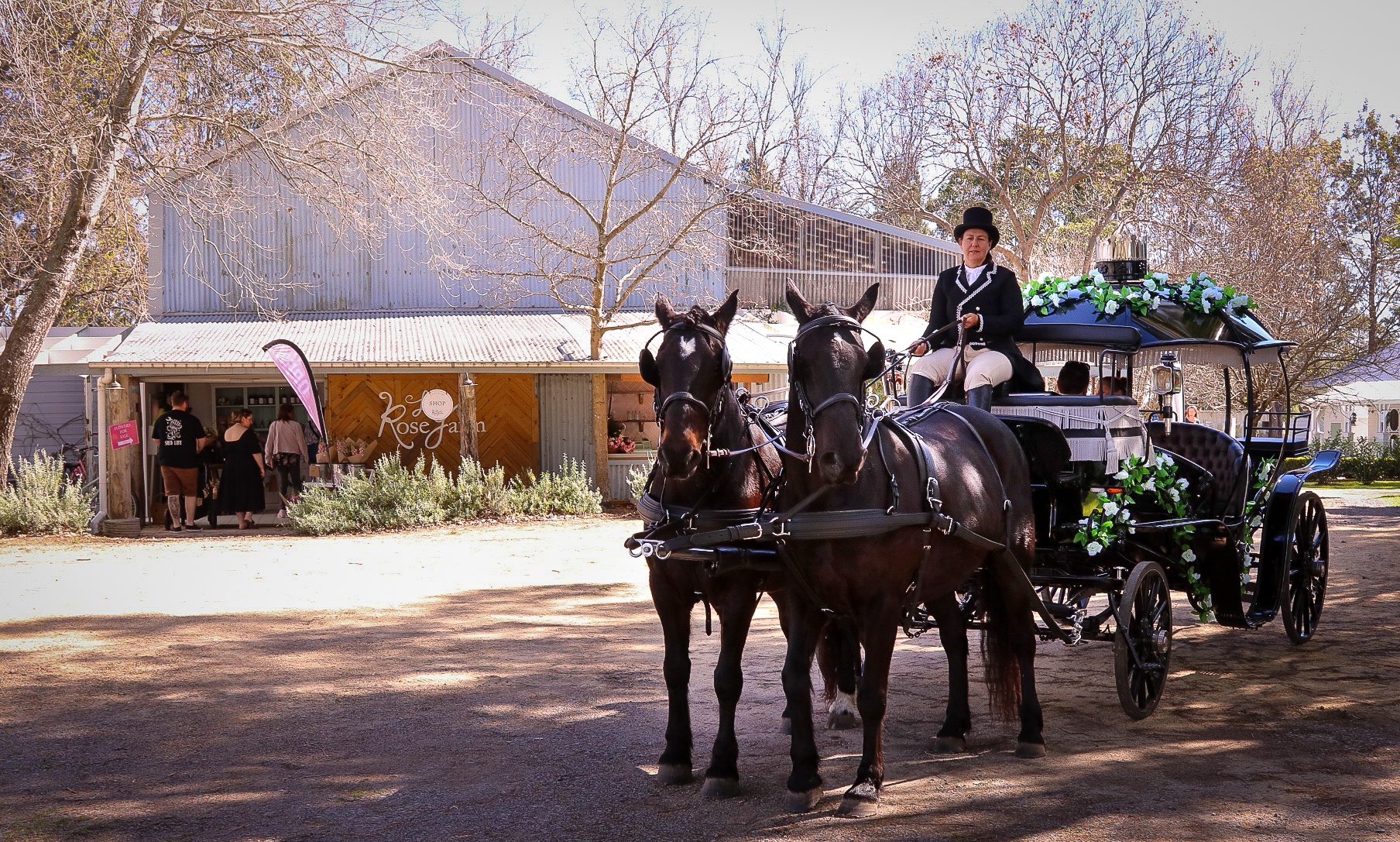 Cinderella Arrival Weddings at Lorn Rose Farm 2023
