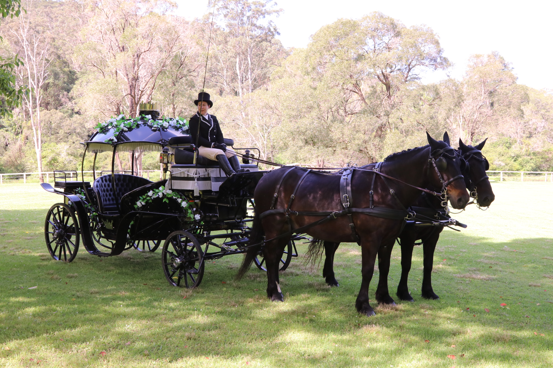 Celebrate Valentine's Day with a Private and Imitmate Cinderella Carriage Ride and Picnic Experience 