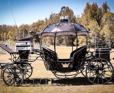 The Cinderella Arrivals Pumpkin Carriage in the Sun