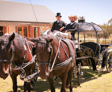 The Cinderella Arrivals Team, waiting at La Vigna Estate